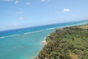 DSC_1193.JPG