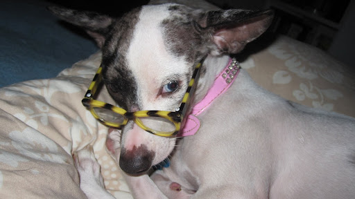 Only thing I'm having trouble explaining to Kelly now is why Pepper expects a martini at happy hour, analyzes Kelly's every move and insists on being called 