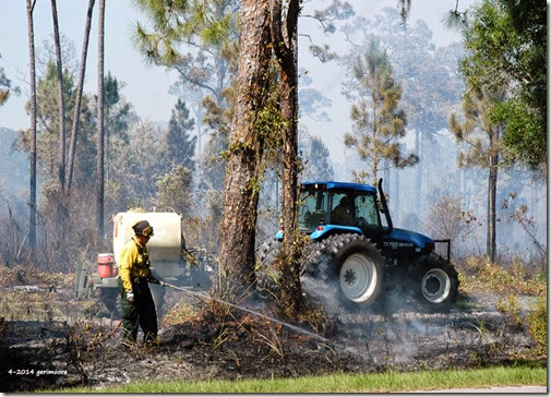 Myakka River SP fire 010