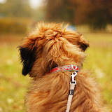 Abi - DSC_0180.jpg