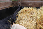 Let's make a nice pile because we've got more to load in here!  Then we can cart it off to the compost pile.