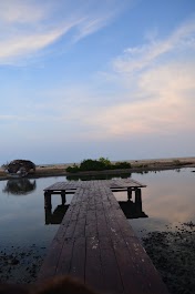 DSC_0310.JPG