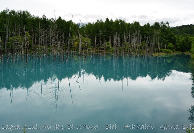 Lagoa Azul - Biei - Hokkaido - Glória Ishizaka - 28