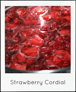 strawberry cordial