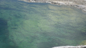 IMG_4167.jpg