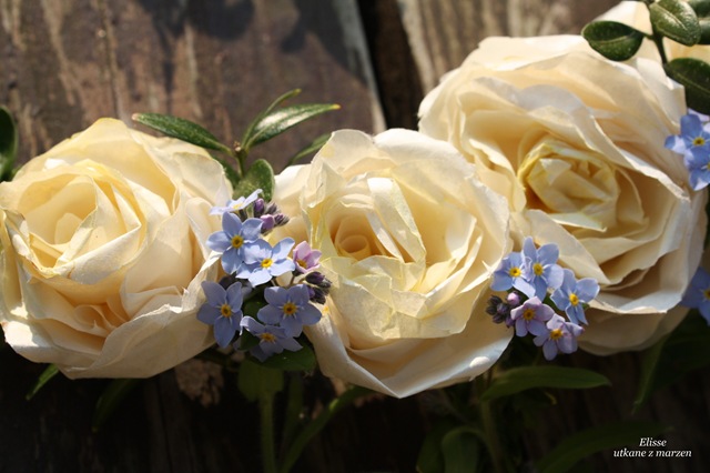 [IMG_157316.jpg]