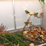 IMG_5332.jpg