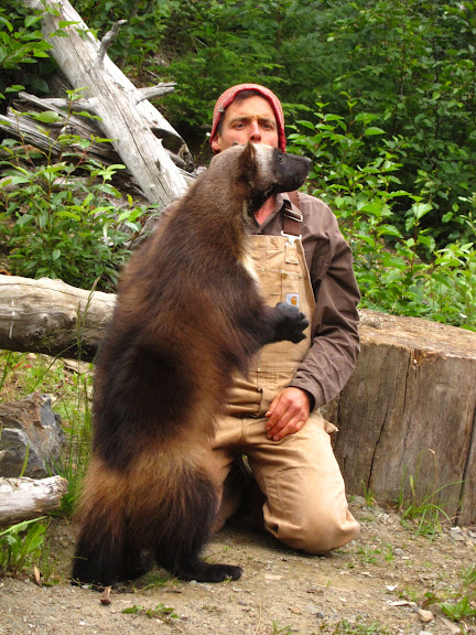  &ndash; Wolverine Standing Tall