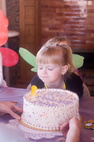 2.23.13 lily cake 6
