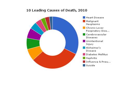10-leading-causes-of-death-2010_large (1)