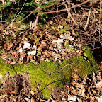 20091125 Allgaeu 0852 [640x480].JPG