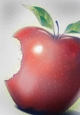 [images%255B5%255D.jpg]