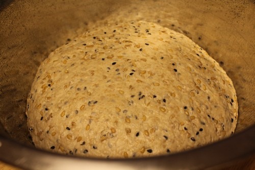 [multi-grain-boule-spelt001%255B5%255D.jpg]
