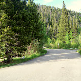 A view down the campground road