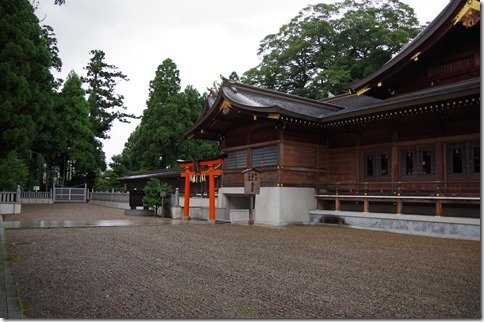 IMGP8785 IMGP8785