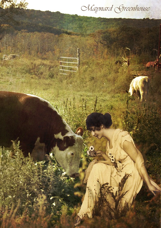[girl%2520redo%2520cropped%255B6%255D.jpg]