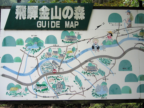 飛騨金山の森