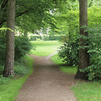 singold-bote_110602114230.jpg