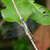 P1060956-001