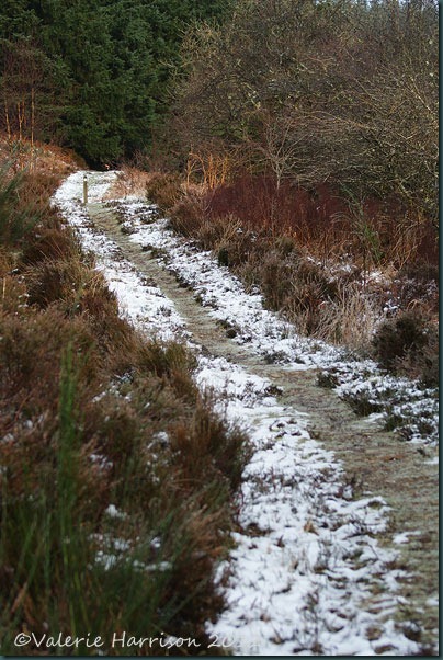 5-snowy-path