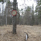Движение запрещено.