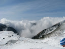 IMG_1551.jpg