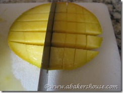IMG_7725 IMG_7725