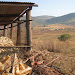 Maize under storage (it's the dry winter season just now, so crops have been harvested) and the landscape beyond. The Simelane household is exemplary in its agricultural methods, and often has surplus maize to sell to other homesteads in the area.