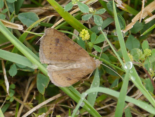 P1110568