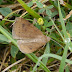 P1110568