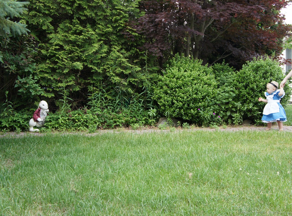 [DSC02073_1650.jpg]
