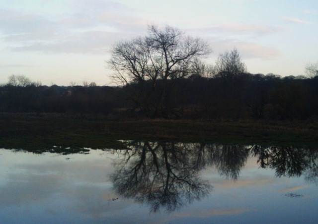 [2012-12-16%252014.52.29%255B4%255D.jpg]