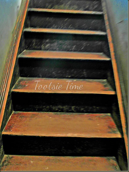 BeFunky_063.jpg BeFunky_063.jpg