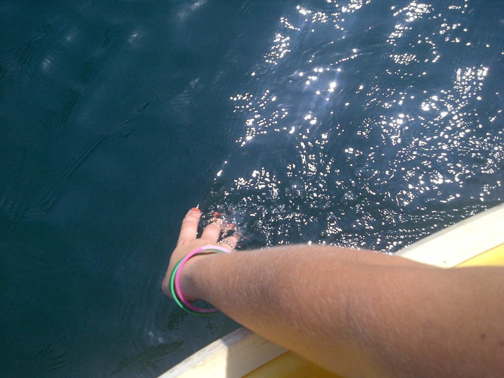 [IMG-20110617-01076%255B3%255D.jpg]
