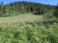 IMG_0354.JPG