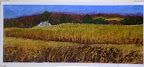 View from Bliss Road