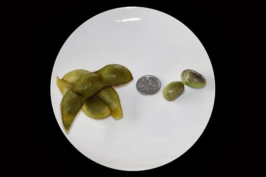 DPP_0002 DPP_0002