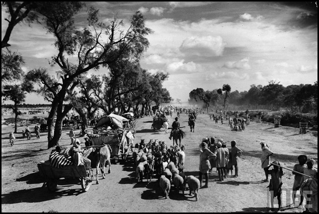Sikhs migrating to Punjab after the division of India_October 1947