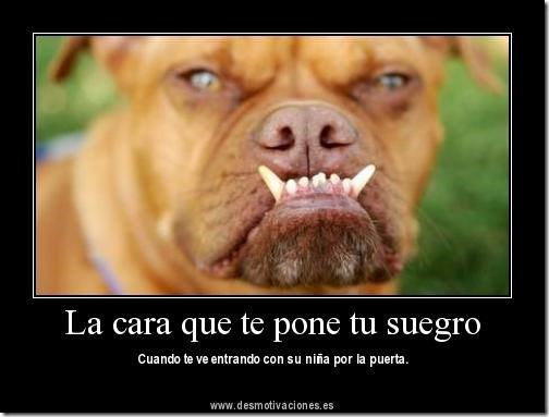 humor suegras (14) humor suegras (14)