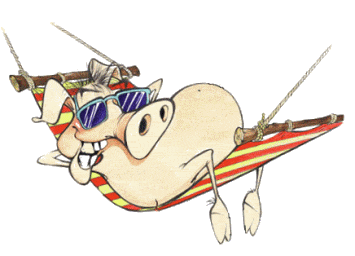 HappyPigInHammock