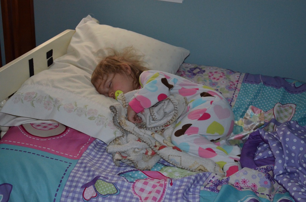 [DSC_0528%255B3%255D.jpg]