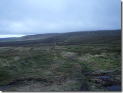 P1110719
