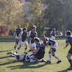 IMG_3583VC.jpg