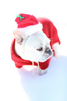 Maybe we'll find Santa out here in the snow.