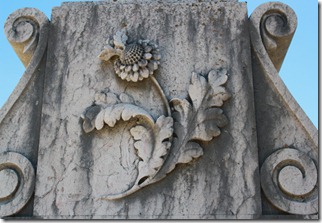 IMG_4142 IMG_4142