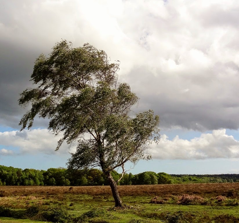 [DSC05737%2520%25281300x1211%2529%255B4%255D.jpg]