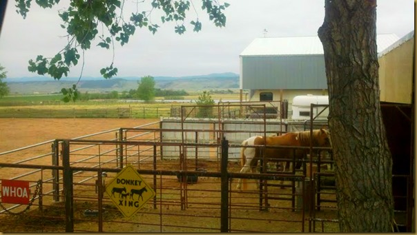 This is the view we chose from our front window. sunbonnet farm view