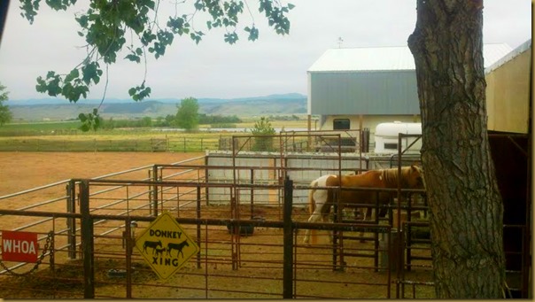 sunbonnet farm view