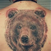 Bear #3