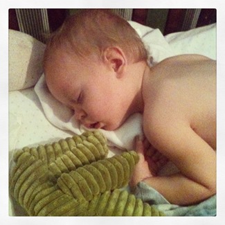 IMG_3849 IMG_3849